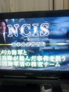 NCIS�����[