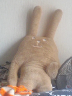 ���R�̂����łɖ����_(^0^)�^